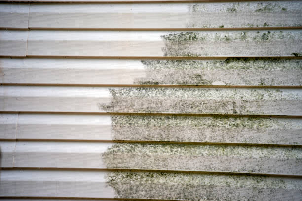 Best Shed Removal  in Morehead, KY