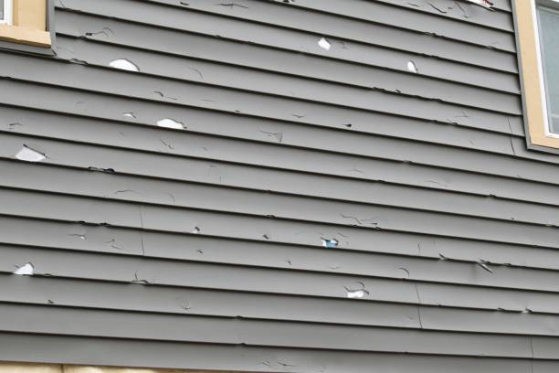 Reliable Morehead, KY Junk Removal Solutions