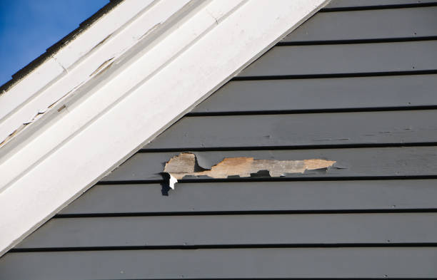 Best Same-Day Junk Removal Services  in Morehead, KY